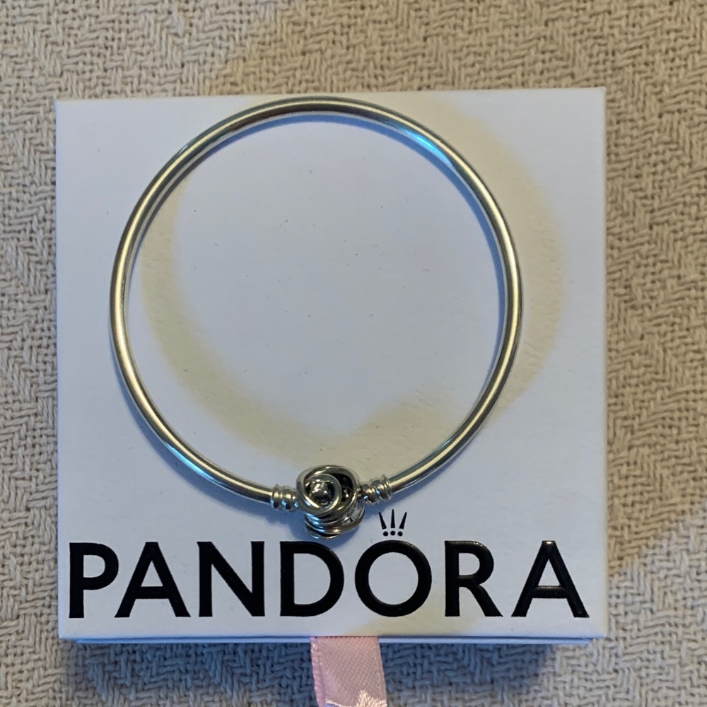 Pandora Encircled Moment Clasp Bracelet